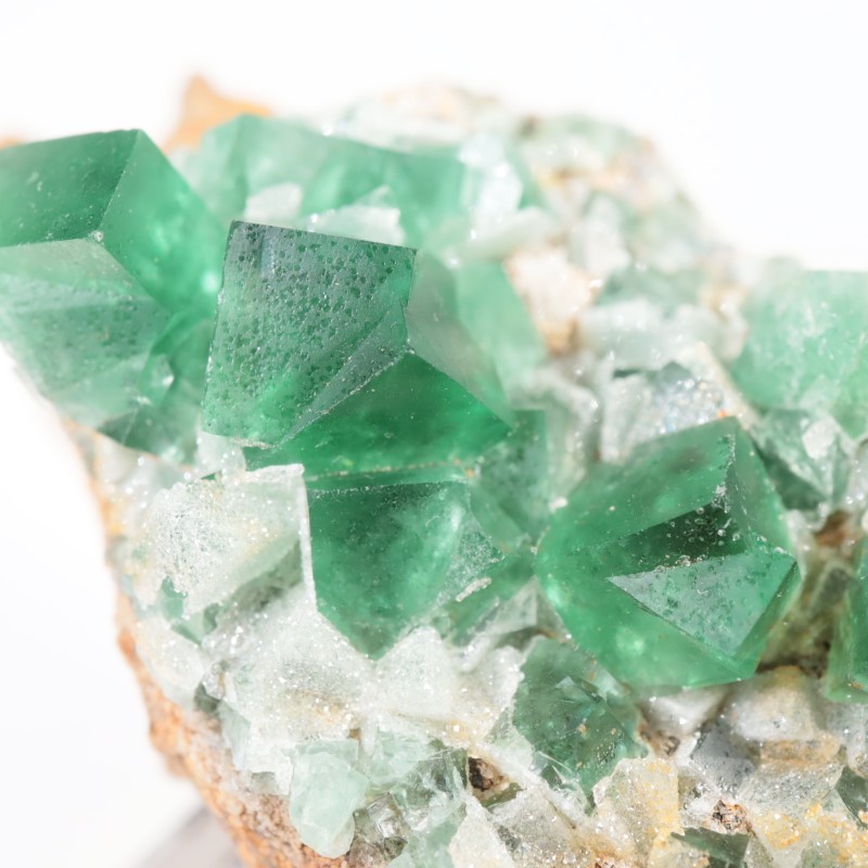 �����ꥹ�� �ե����饤��