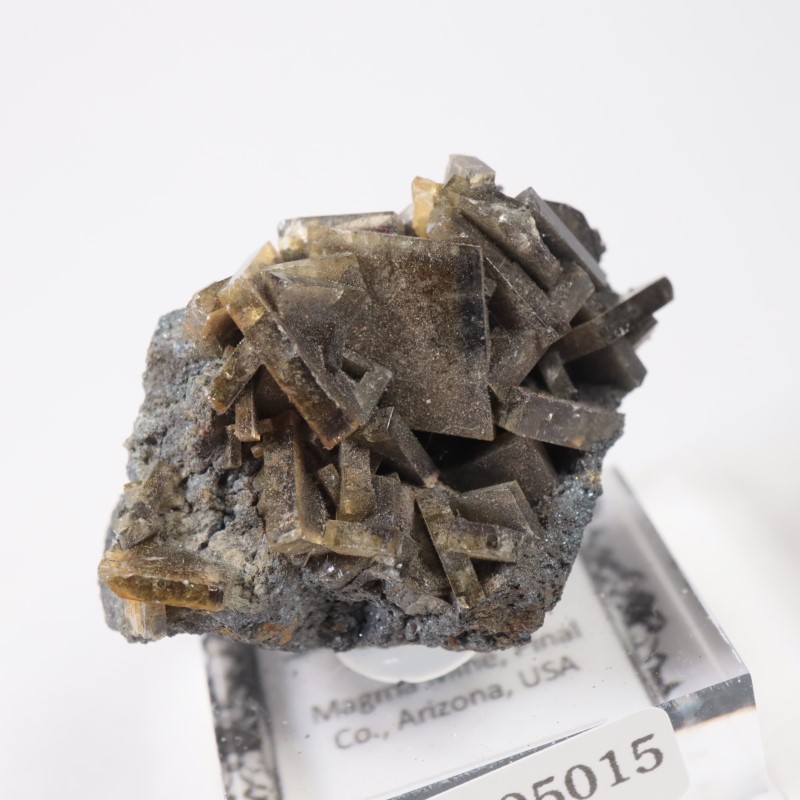 ���꥾�ʽ��� �Х饤��