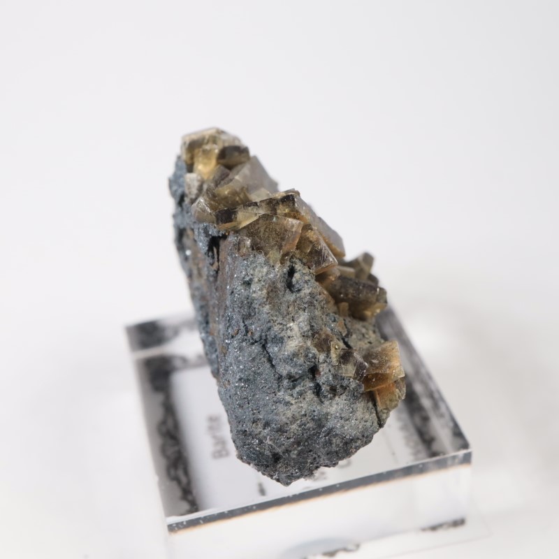 ���꥾�ʽ��� �Х饤��