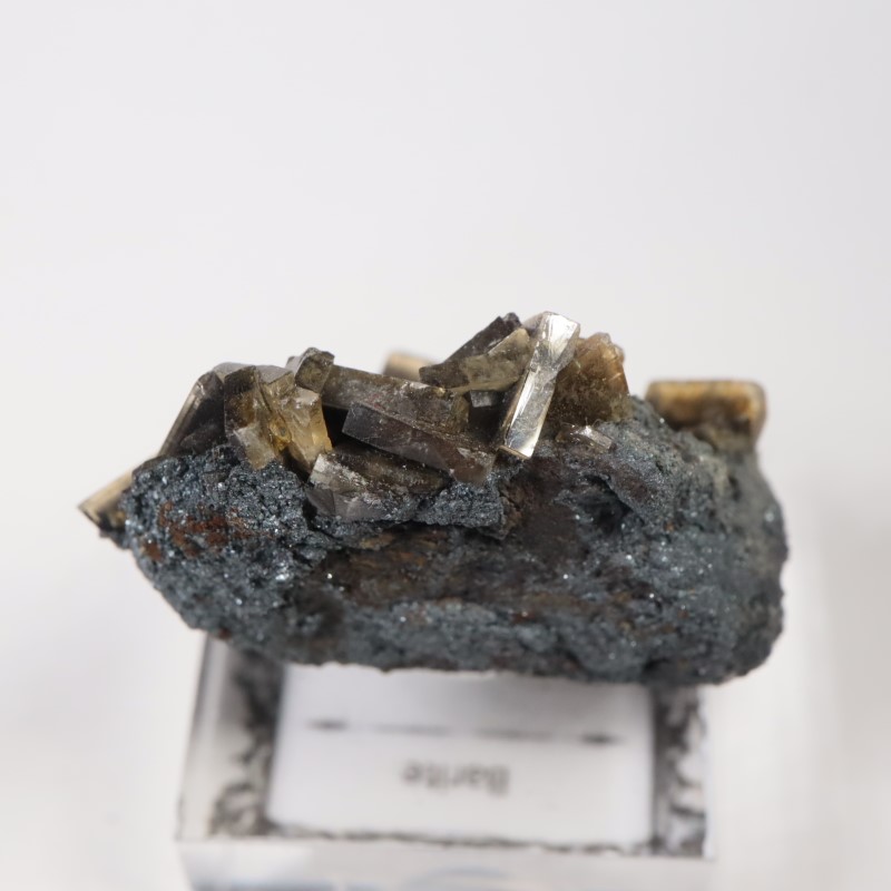 ���꥾�ʽ��� �Х饤��