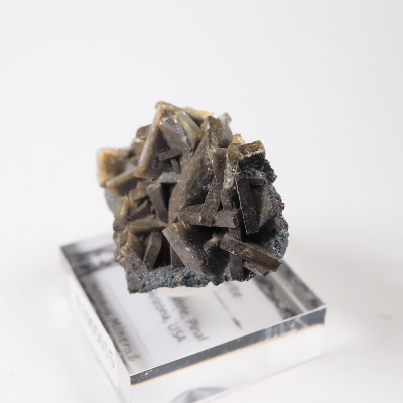 ���꥾�ʽ��� �Х饤��