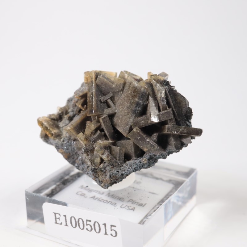 ���꥾�ʽ��� �Х饤��