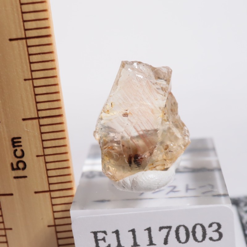 ���쥴�󽣻� ���쥴�󥵥󥹥ȡ���