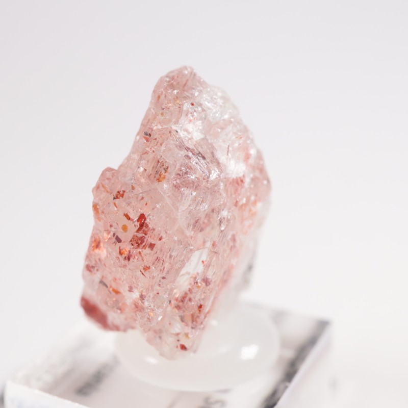 ���󥶥˥��� ����塼����󡦥��󥹥ȡ���