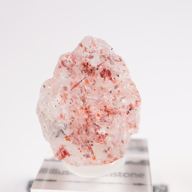 ���󥶥˥��� ����塼����󡦥��󥹥ȡ���