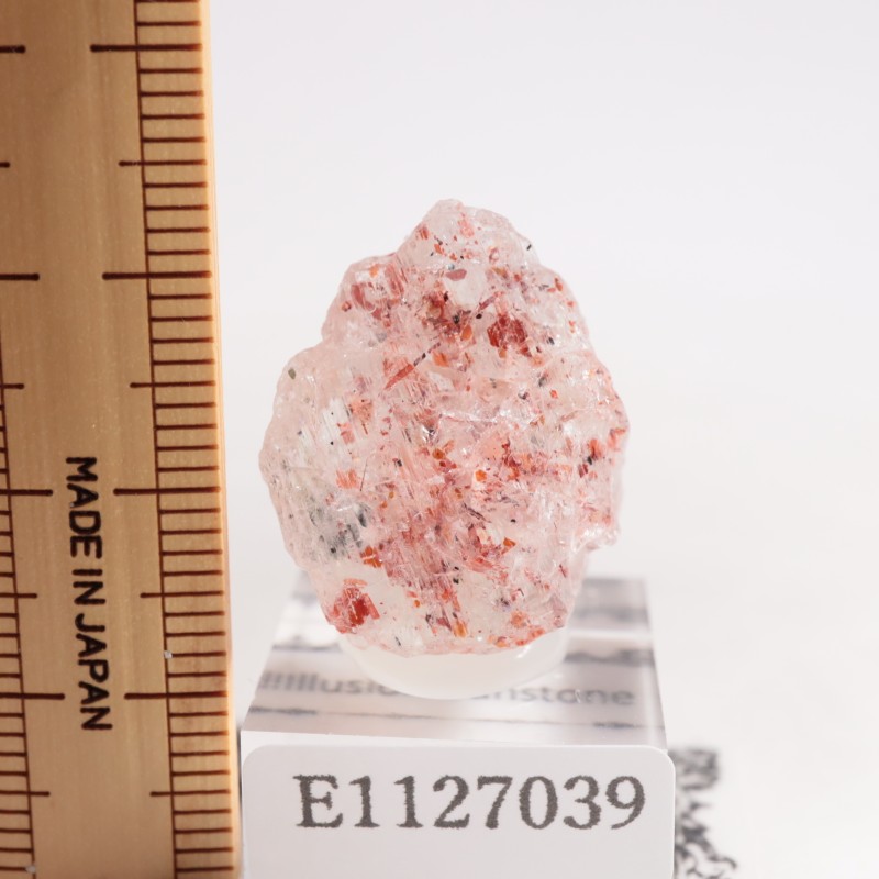 ���󥶥˥��� ����塼����󡦥��󥹥ȡ���