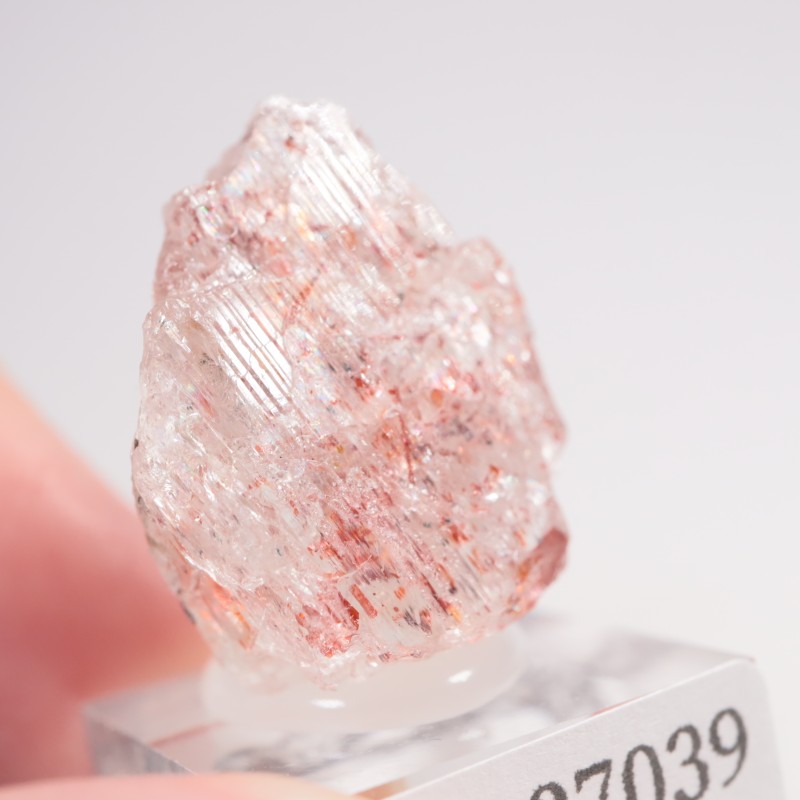 ���󥶥˥��� ����塼����󡦥��󥹥ȡ���