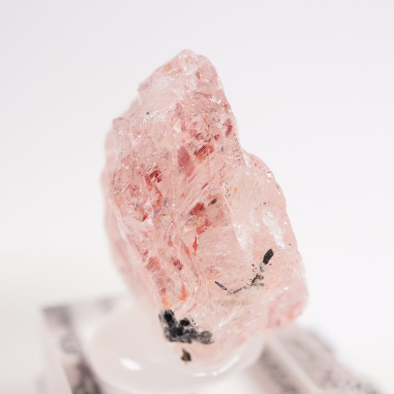 ���󥶥˥��� ����塼����󡦥��󥹥ȡ���