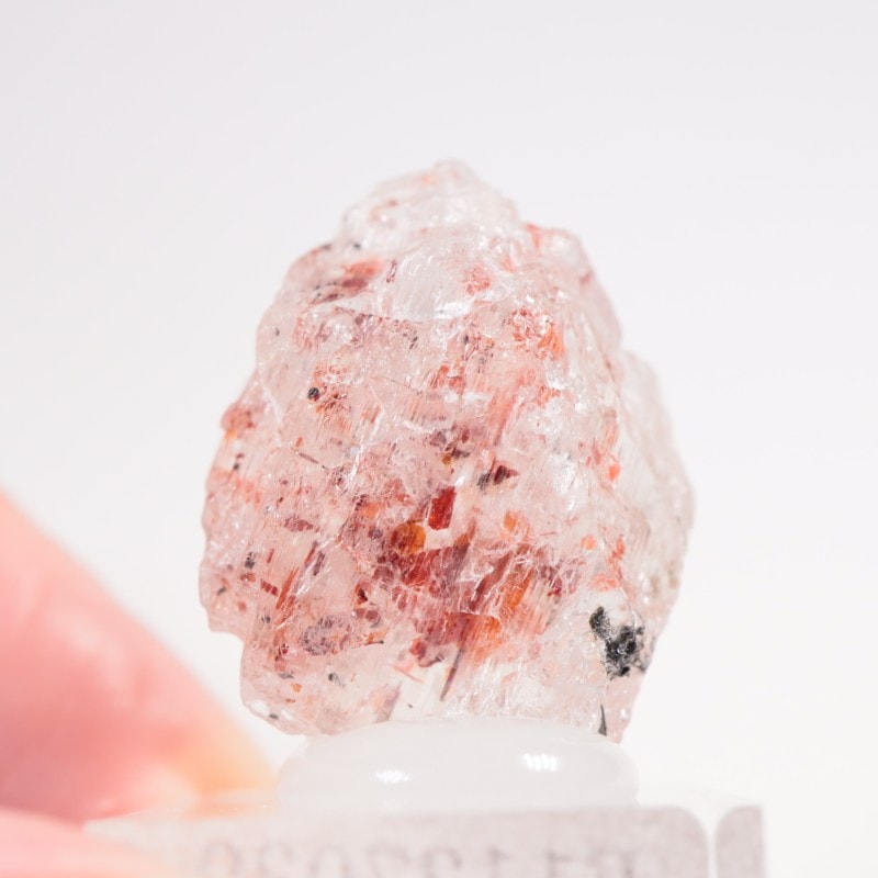 ���󥶥˥��� ����塼����󡦥��󥹥ȡ���