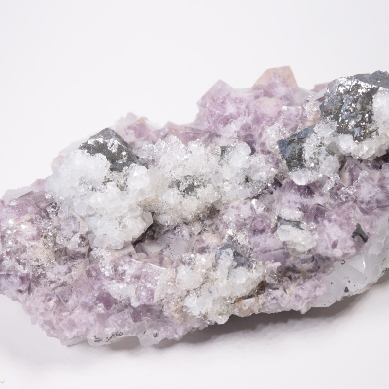 Frazer��s Hush Mine�� �ե����饤�ȡ�����ʡ���������