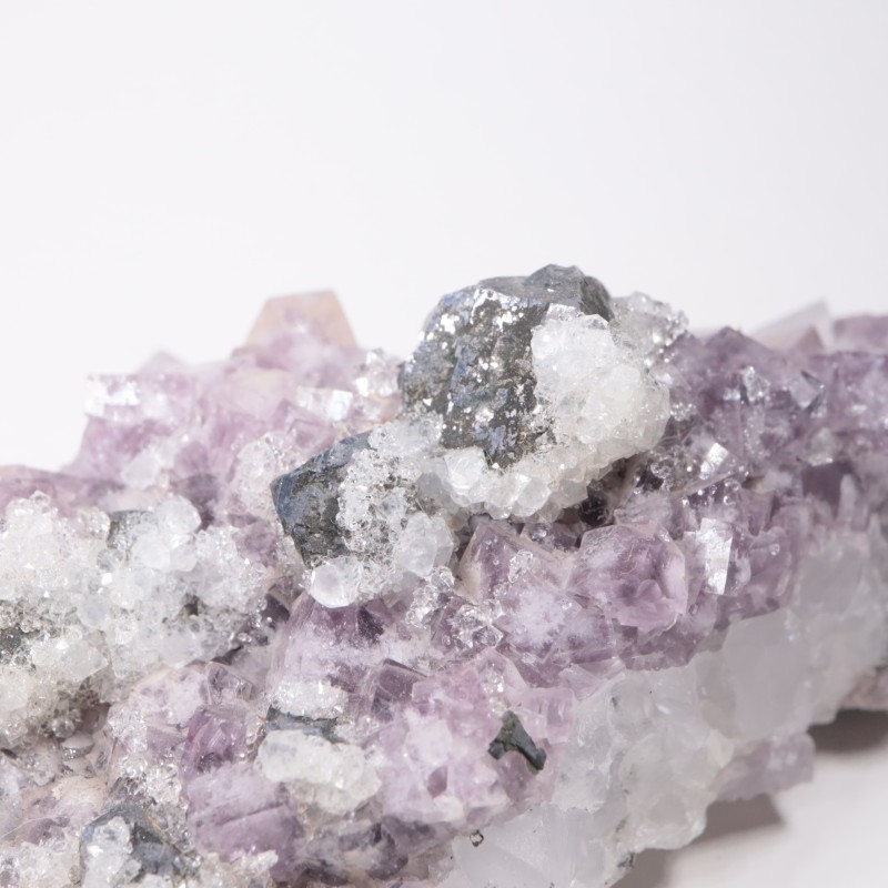 Frazer��s Hush Mine�� �ե����饤�ȡ�����ʡ���������