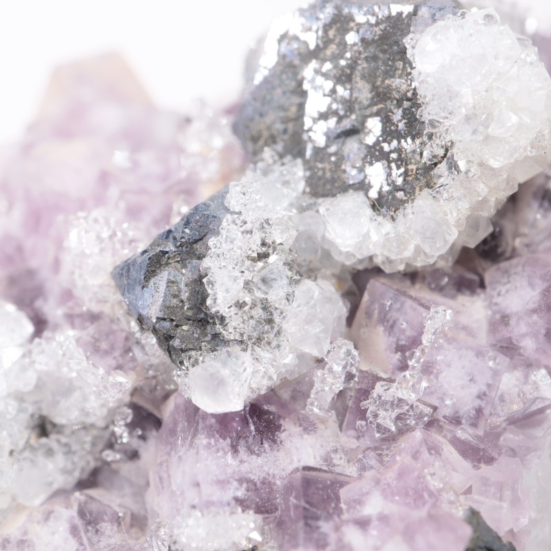 Frazer��s Hush Mine�� �ե����饤�ȡ�����ʡ���������