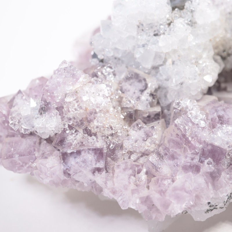 Frazer��s Hush Mine�� �ե����饤�ȡ�����ʡ���������