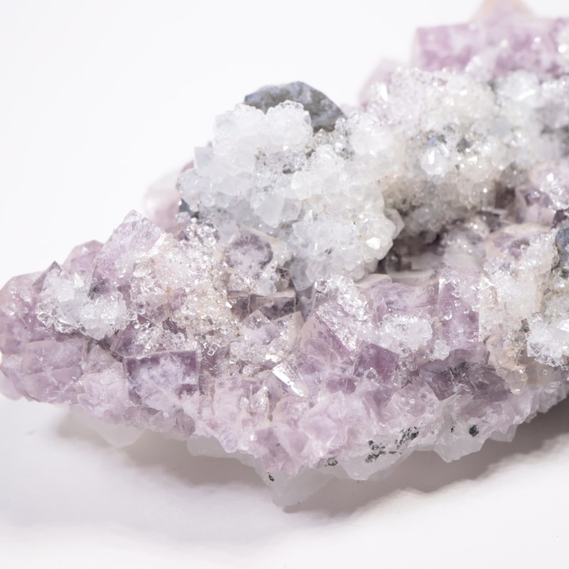 Frazer��s Hush Mine�� �ե����饤�ȡ�����ʡ���������