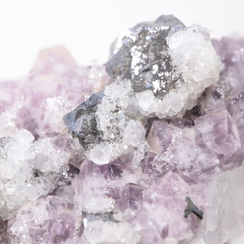 Frazer��s Hush Mine�� �ե����饤�ȡ�����ʡ���������