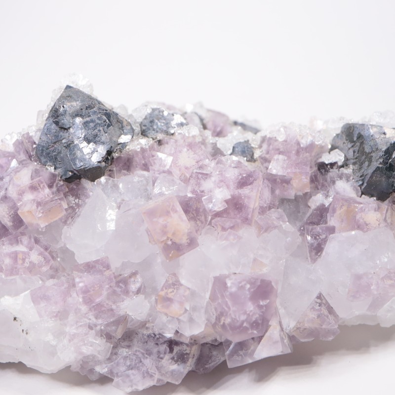 Frazer��s Hush Mine�� �ե����饤�ȡ�����ʡ���������