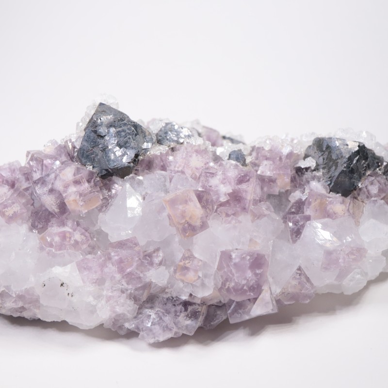 Frazer��s Hush Mine�� �ե����饤�ȡ�����ʡ���������