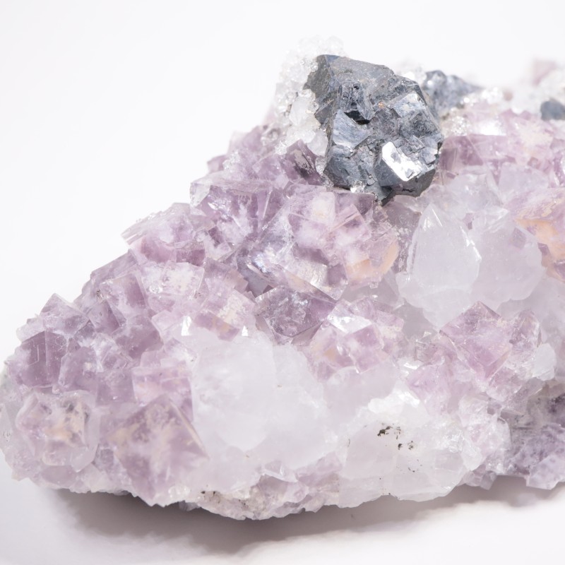 Frazer��s Hush Mine�� �ե����饤�ȡ�����ʡ���������