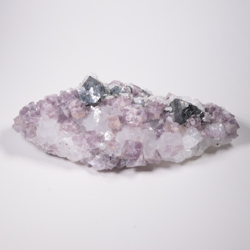 Frazer��s Hush Mine�� �ե����饤�ȡ�����ʡ���������