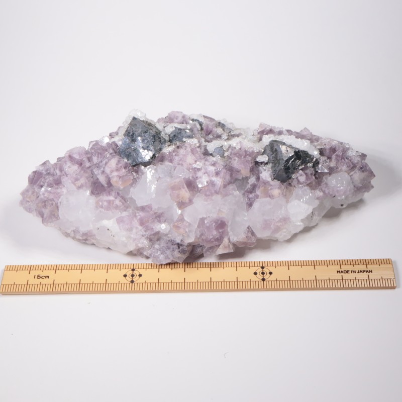 Frazer��s Hush Mine�� �ե����饤�ȡ�����ʡ���������