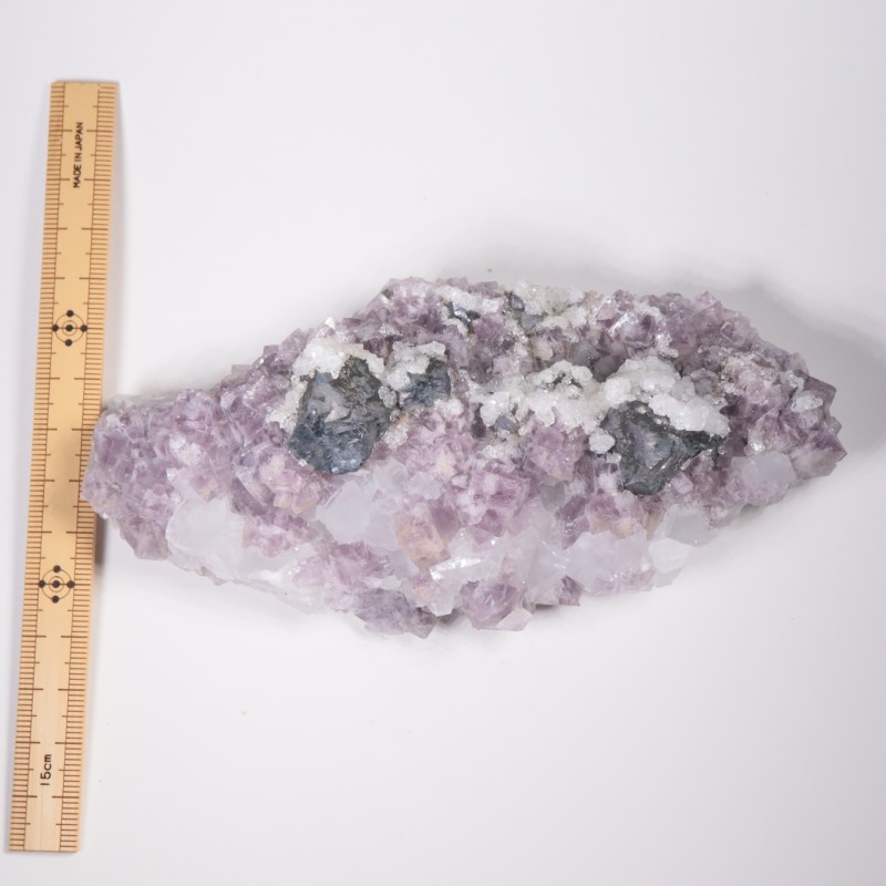 Frazer��s Hush Mine�� �ե����饤�ȡ�����ʡ���������