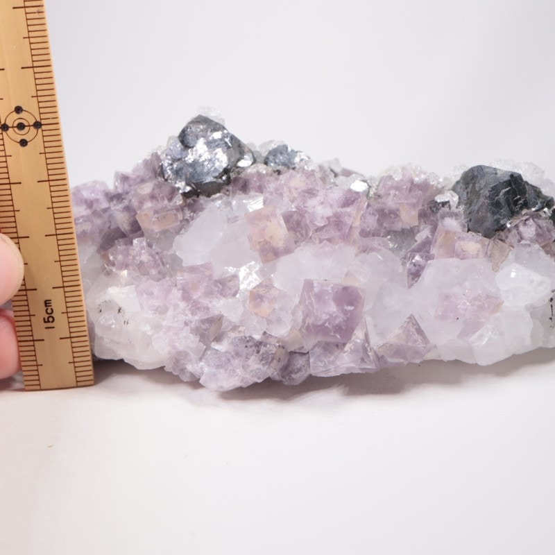 Frazer��s Hush Mine�� �ե����饤�ȡ�����ʡ���������