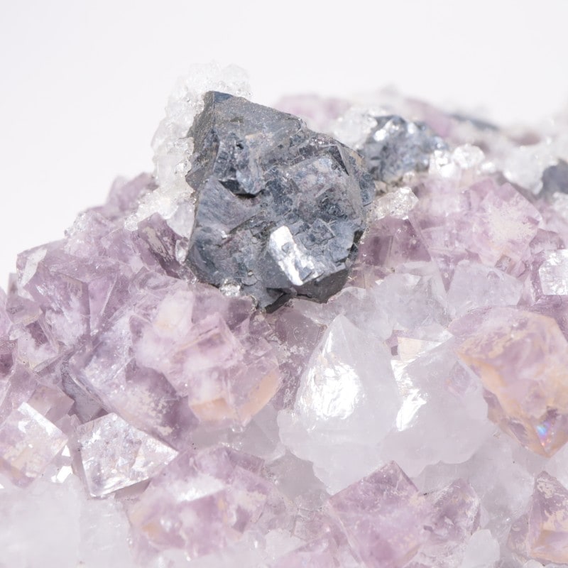 Frazer��s Hush Mine�� �ե����饤�ȡ�����ʡ���������