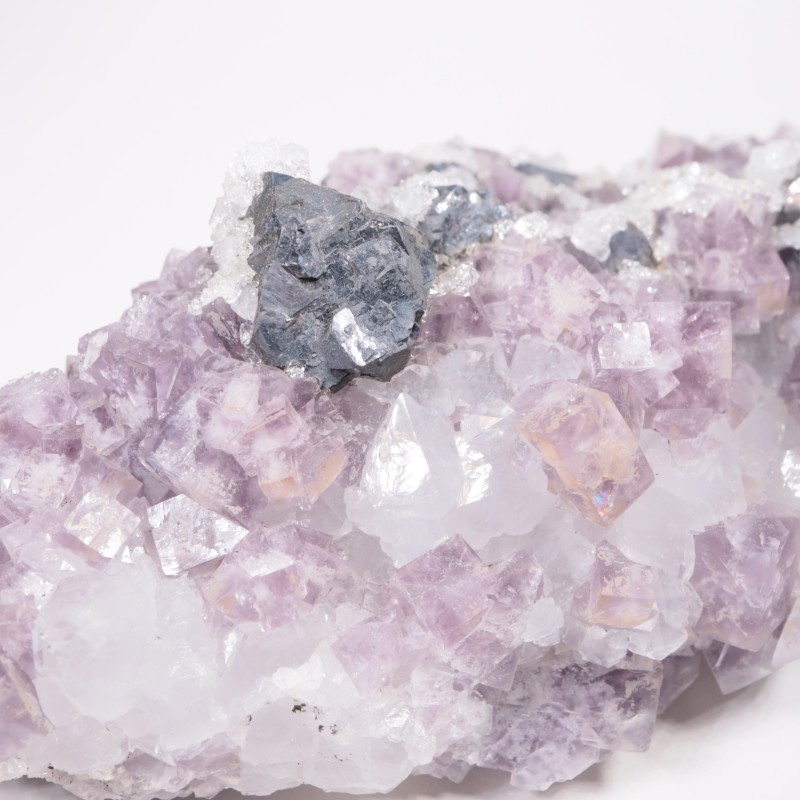 Frazer��s Hush Mine�� �ե����饤�ȡ�����ʡ���������