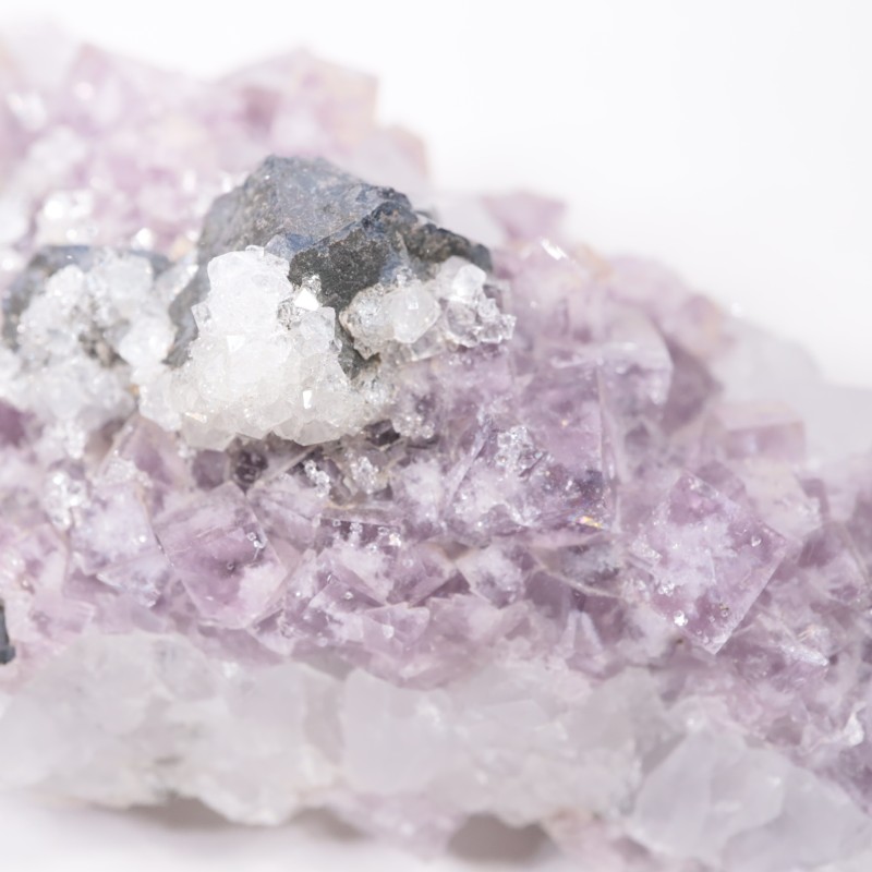 Frazer��s Hush Mine�� �ե����饤�ȡ�����ʡ���������