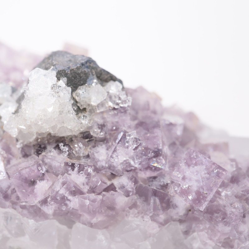 Frazer��s Hush Mine�� �ե����饤�ȡ�����ʡ���������