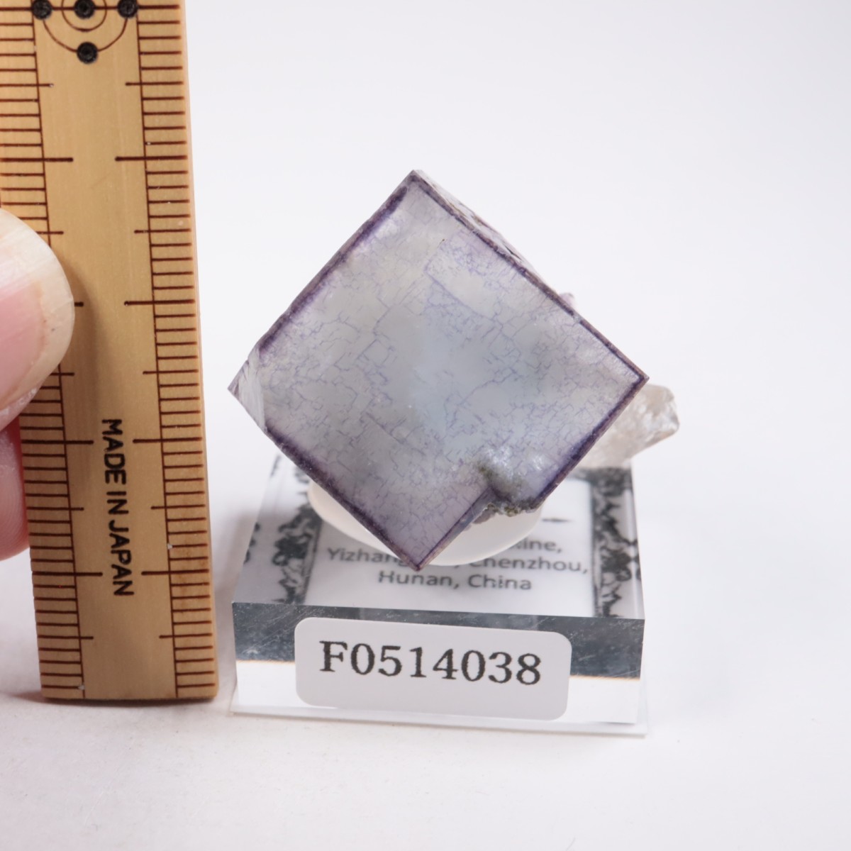 �䥪���󥷥��ۻ��� �ե����饤��