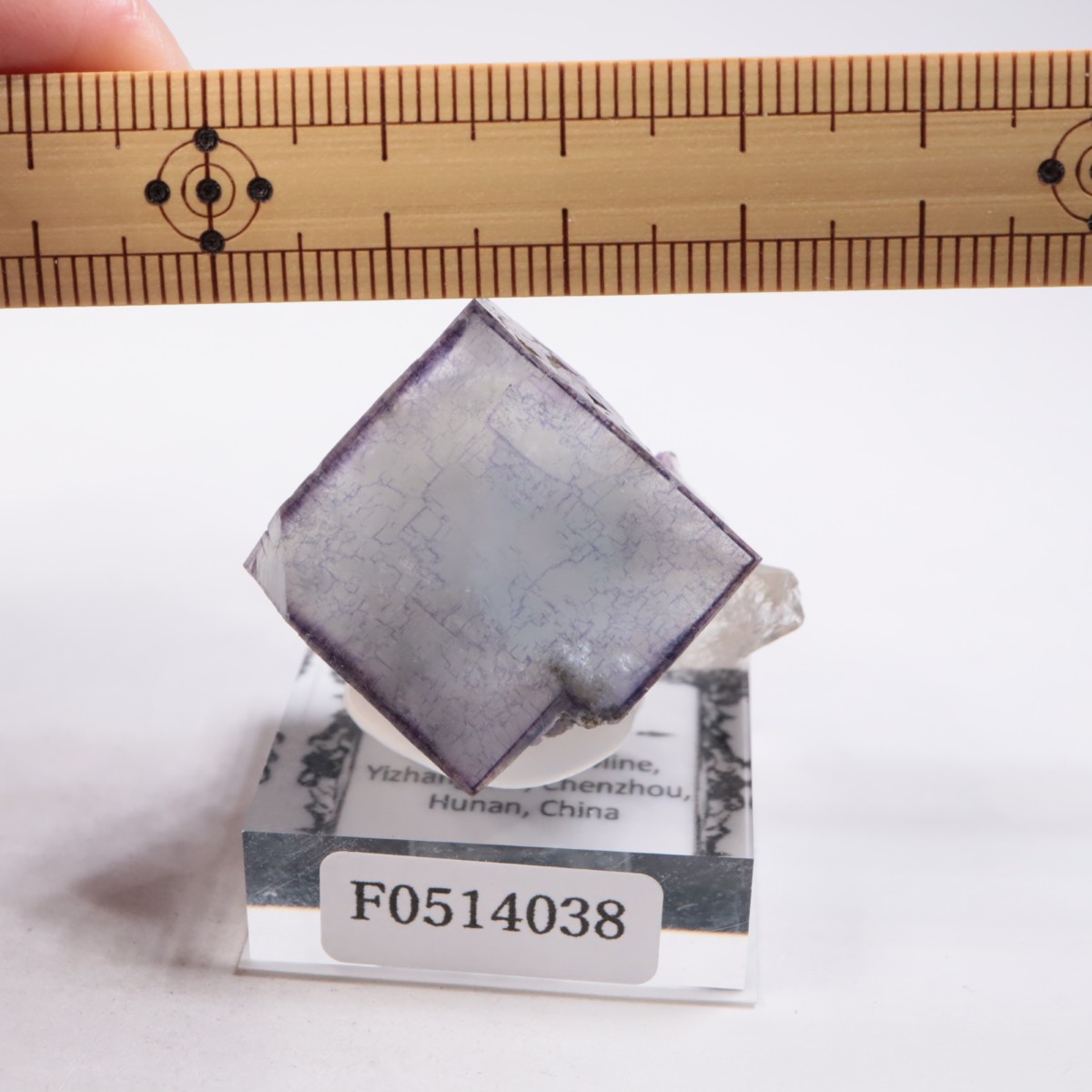 �䥪���󥷥��ۻ��� �ե����饤��