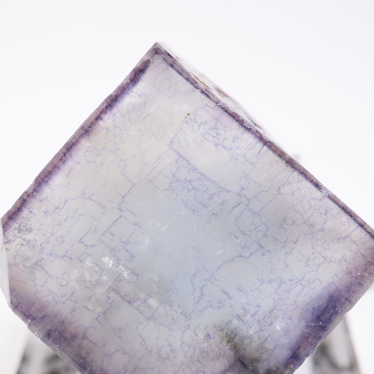 �䥪���󥷥��ۻ��� �ե����饤��