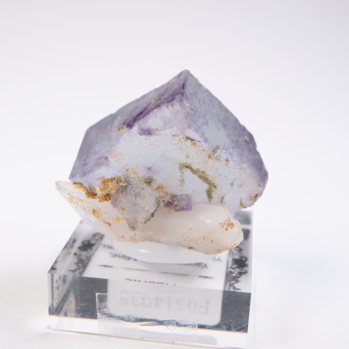 �䥪���󥷥��ۻ��� �ե����饤��