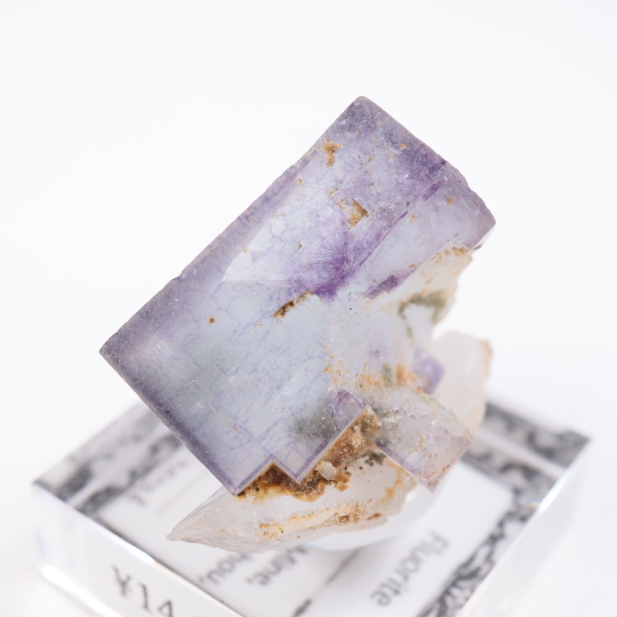 �䥪���󥷥��ۻ��� �ե����饤��