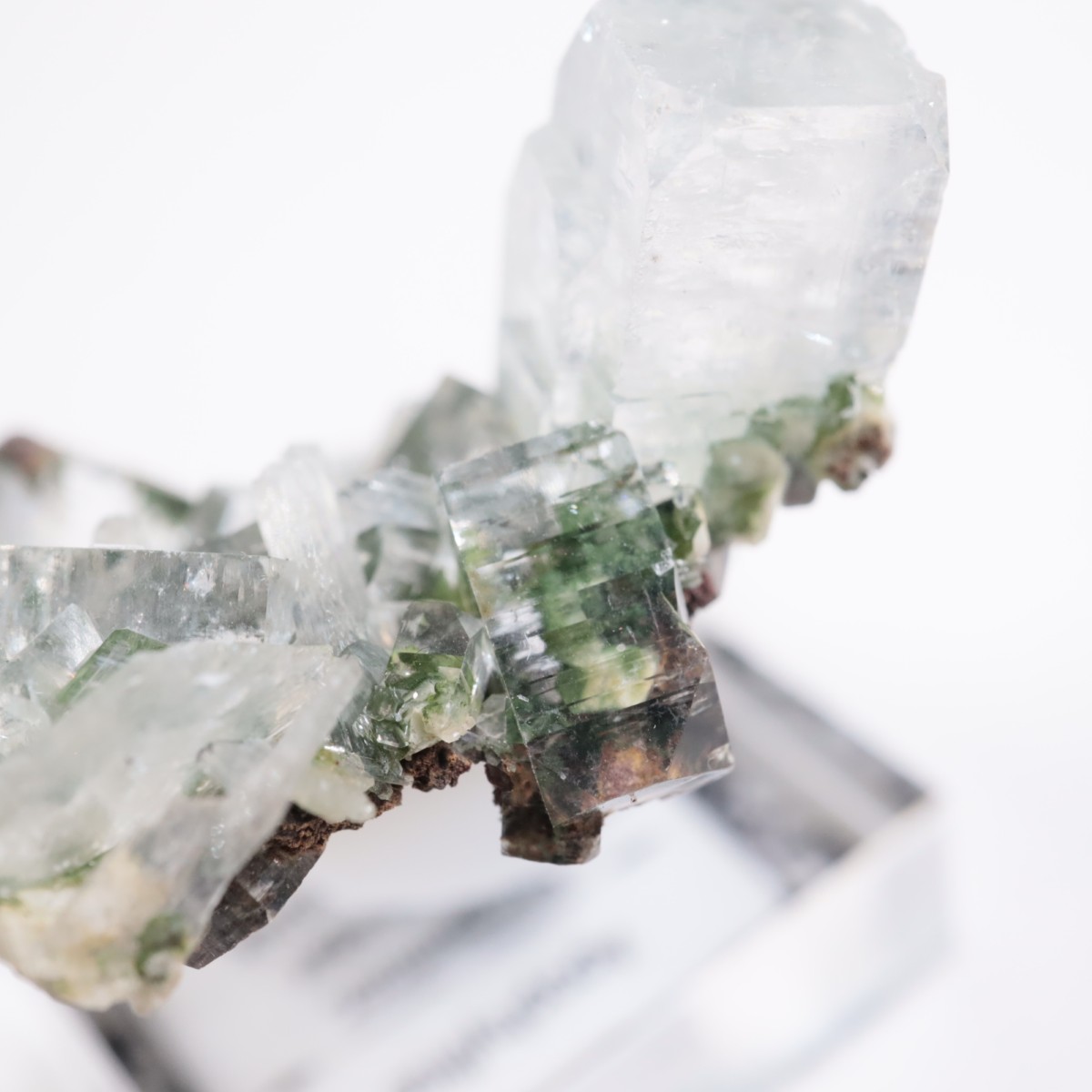 ����ɻ� ���ݥե��饤��