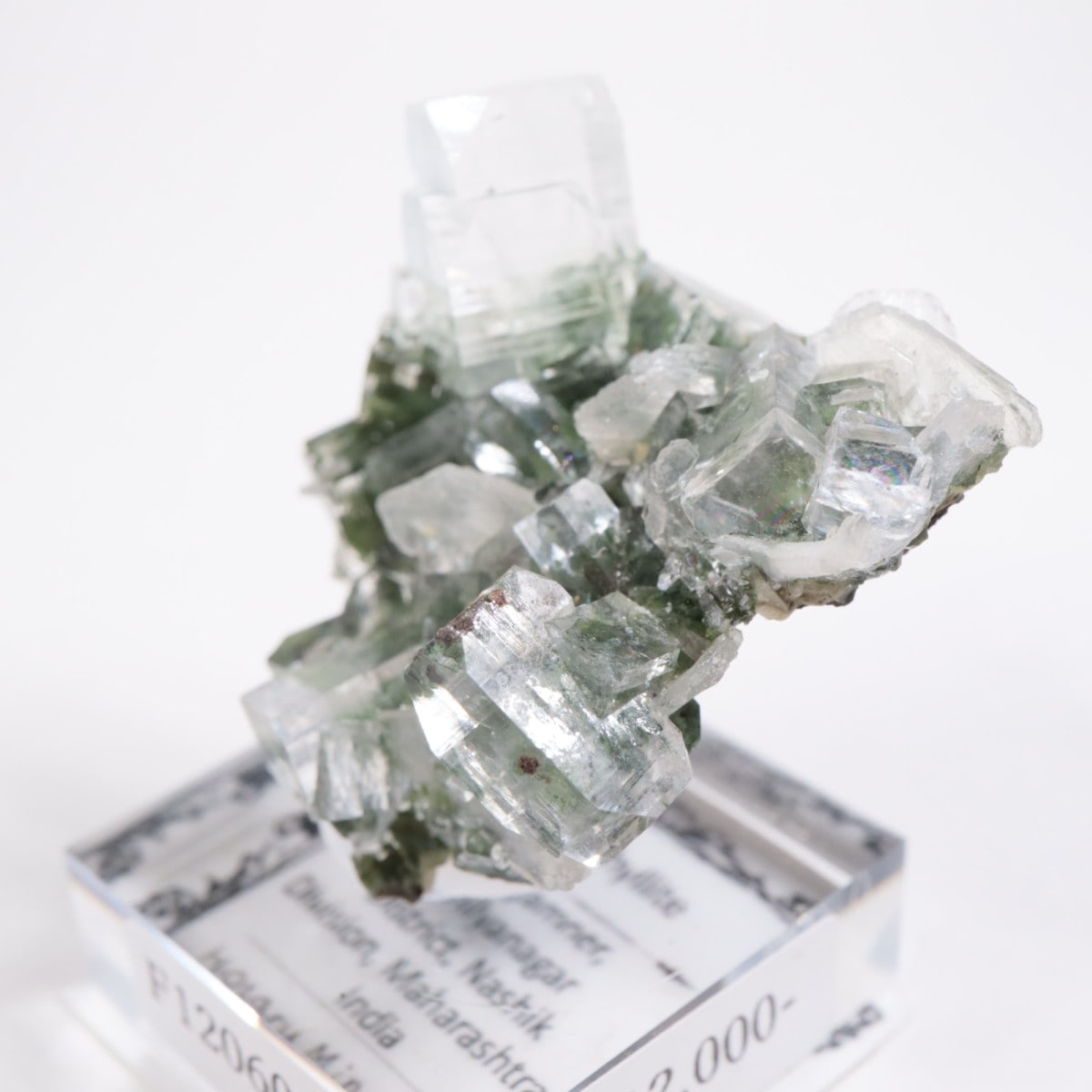 ����ɻ� ���ݥե��饤��