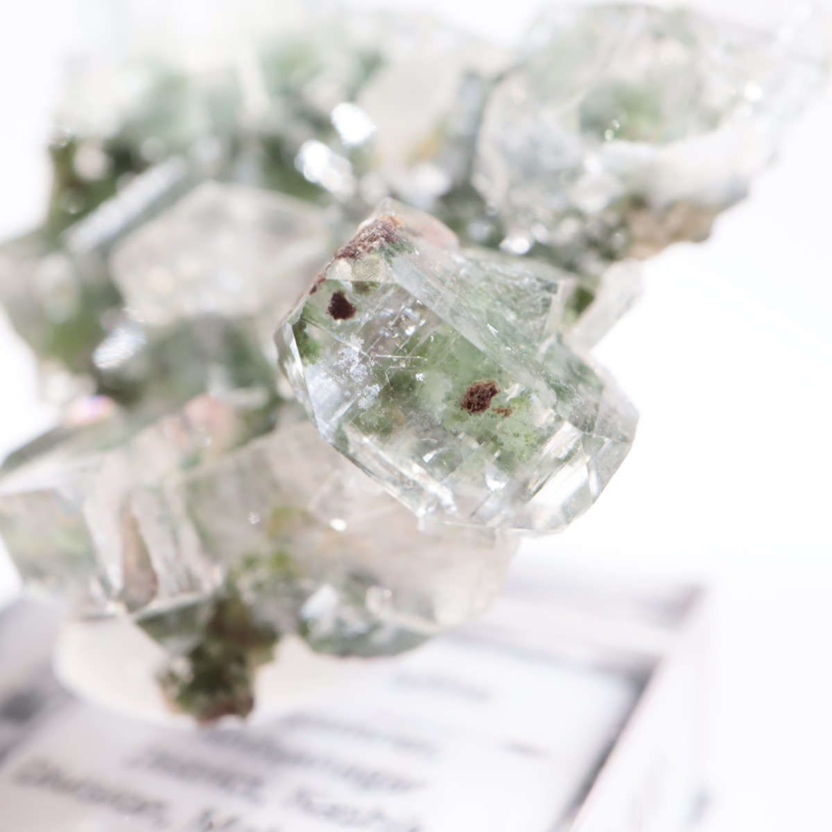 ����ɻ� ���ݥե��饤��