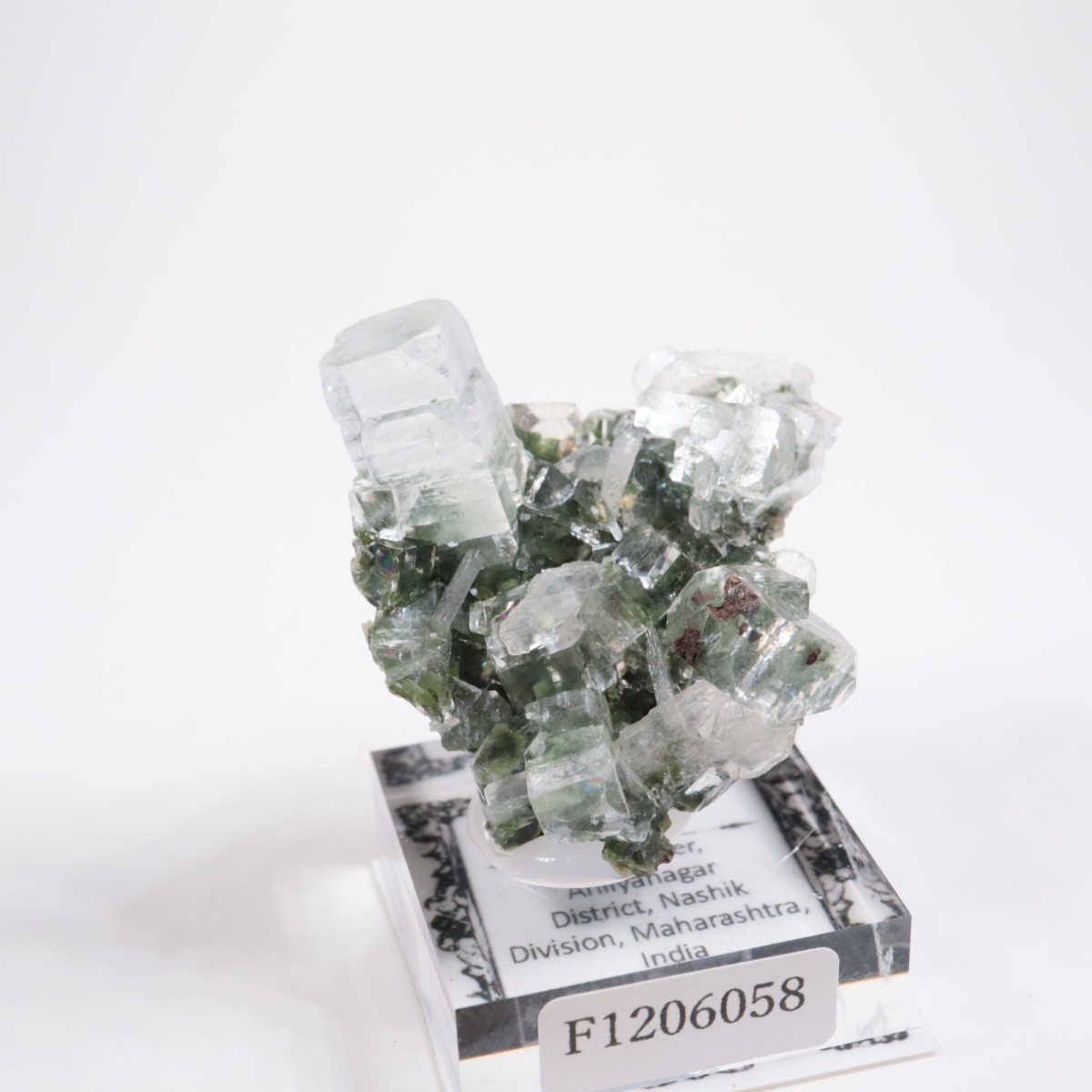 ����ɻ� ���ݥե��饤��