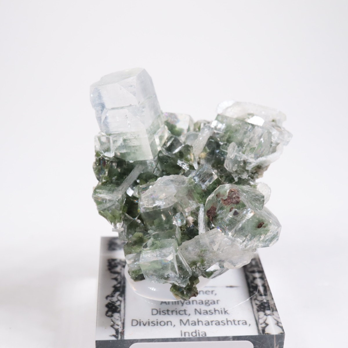 ����ɻ� ���ݥե��饤��