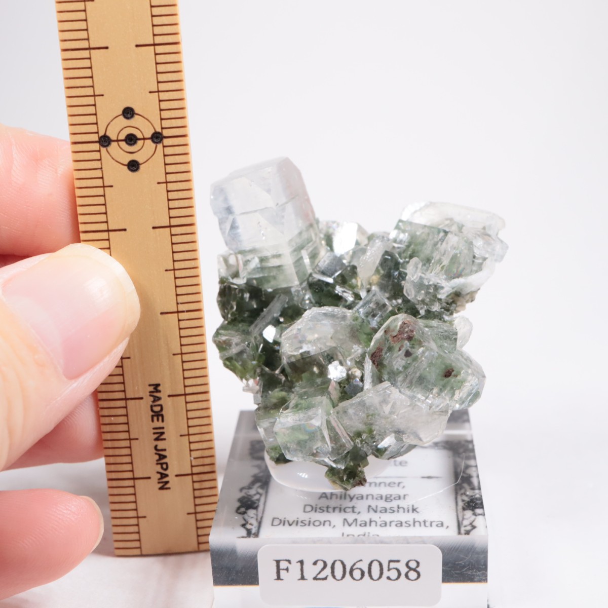 ����ɻ� ���ݥե��饤��