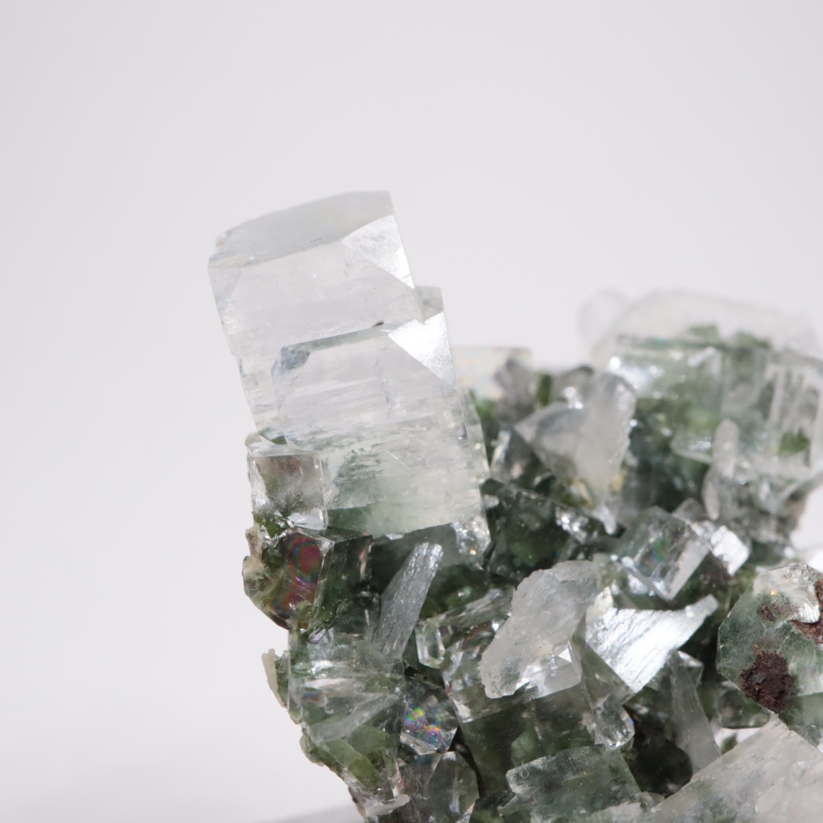 ����ɻ� ���ݥե��饤��