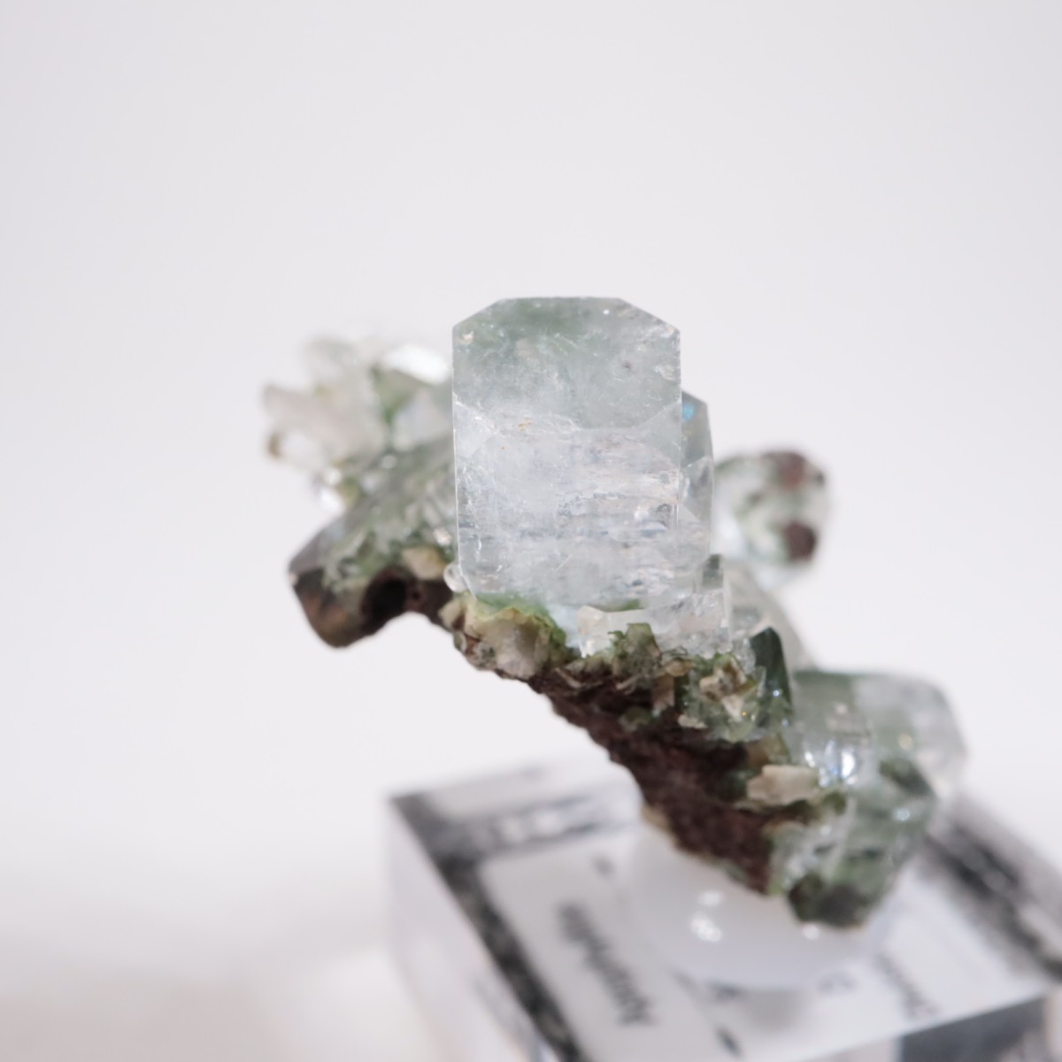 ����ɻ� ���ݥե��饤��