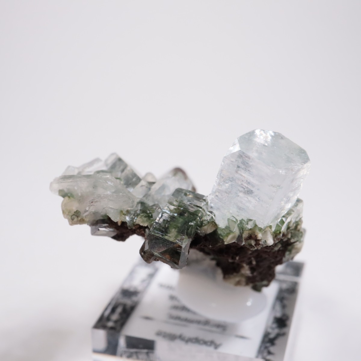 ����ɻ� ���ݥե��饤��