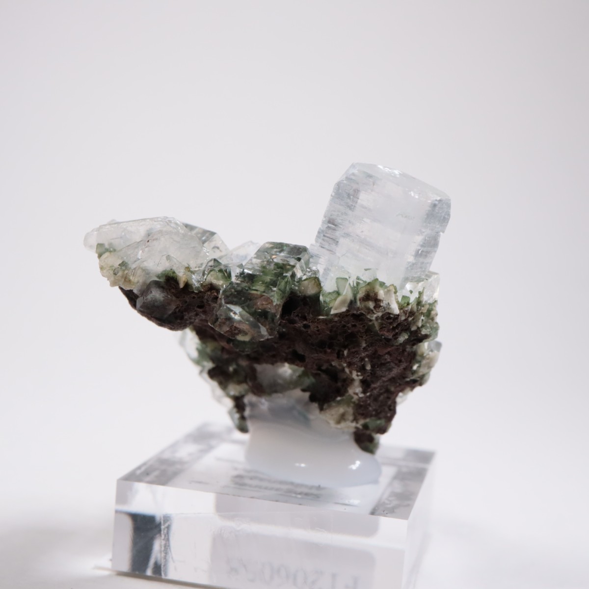 ����ɻ� ���ݥե��饤��