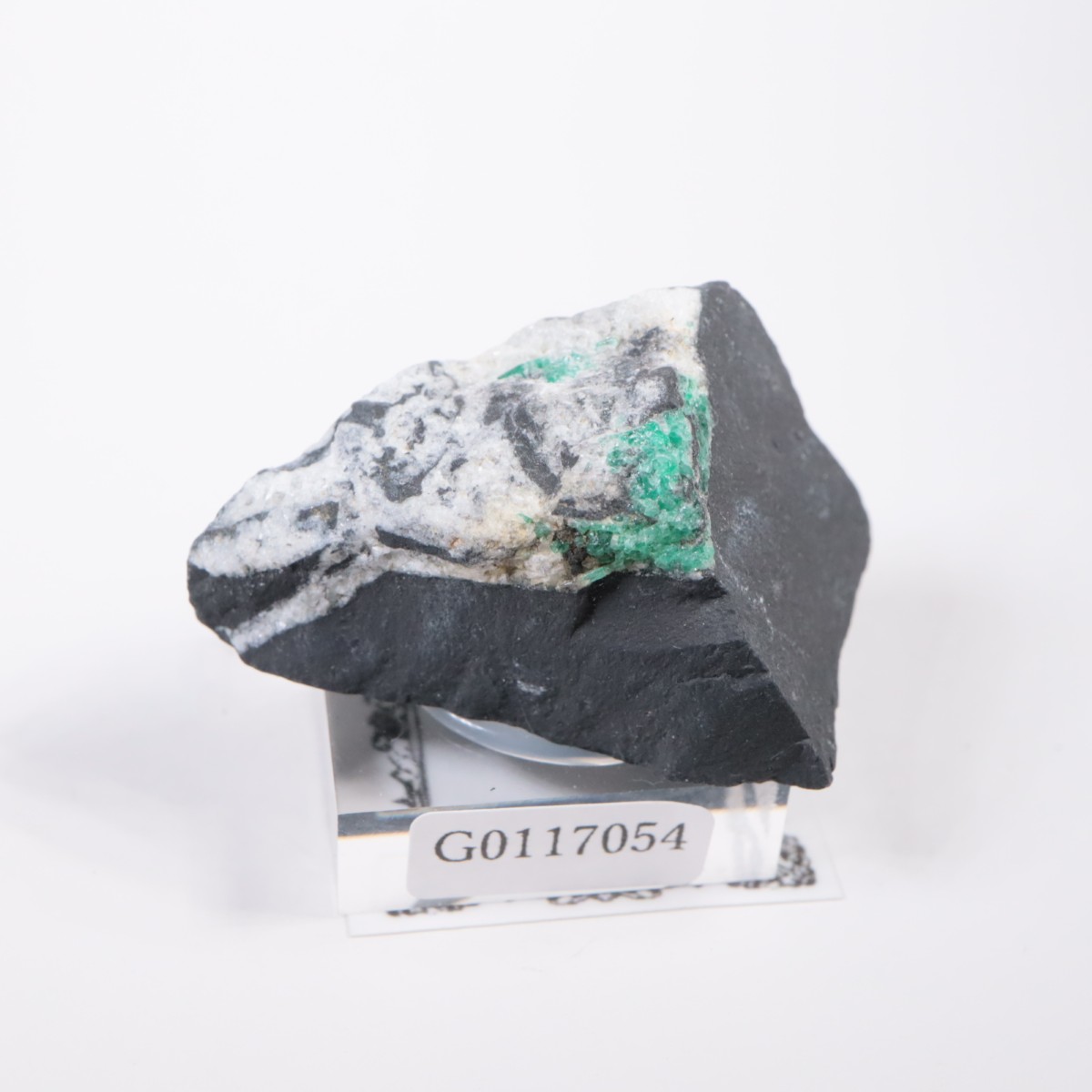 ������ӥ��� �������