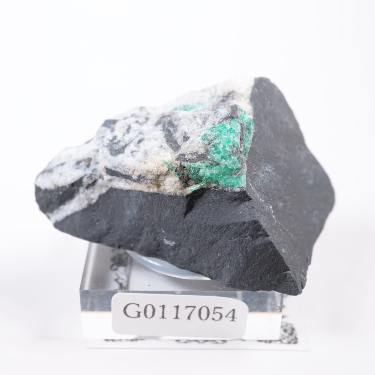 ������ӥ��� �������