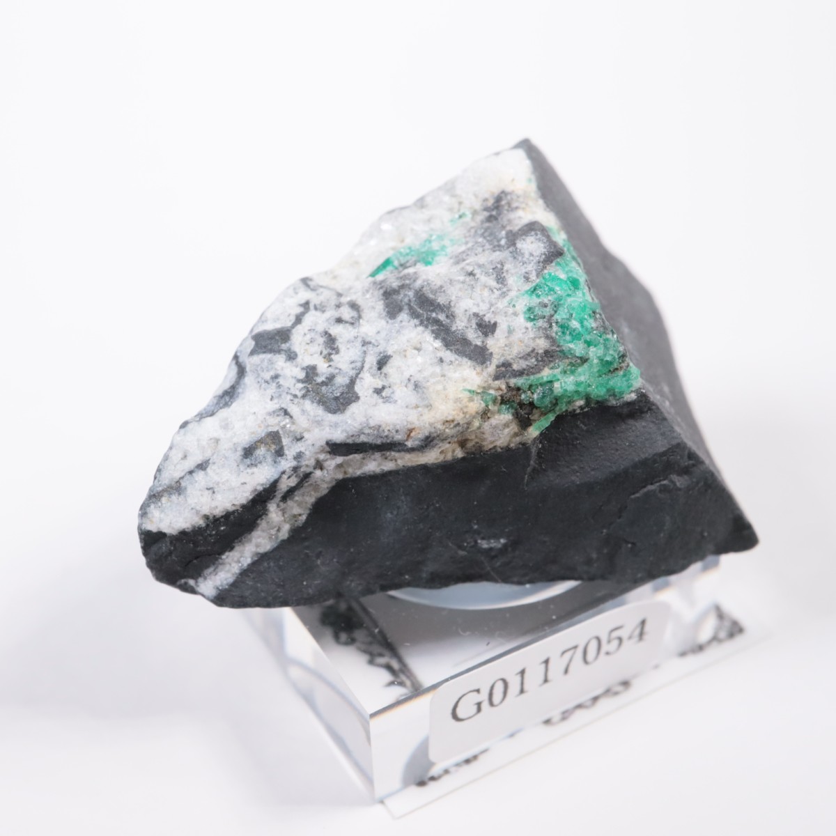 ������ӥ��� �������