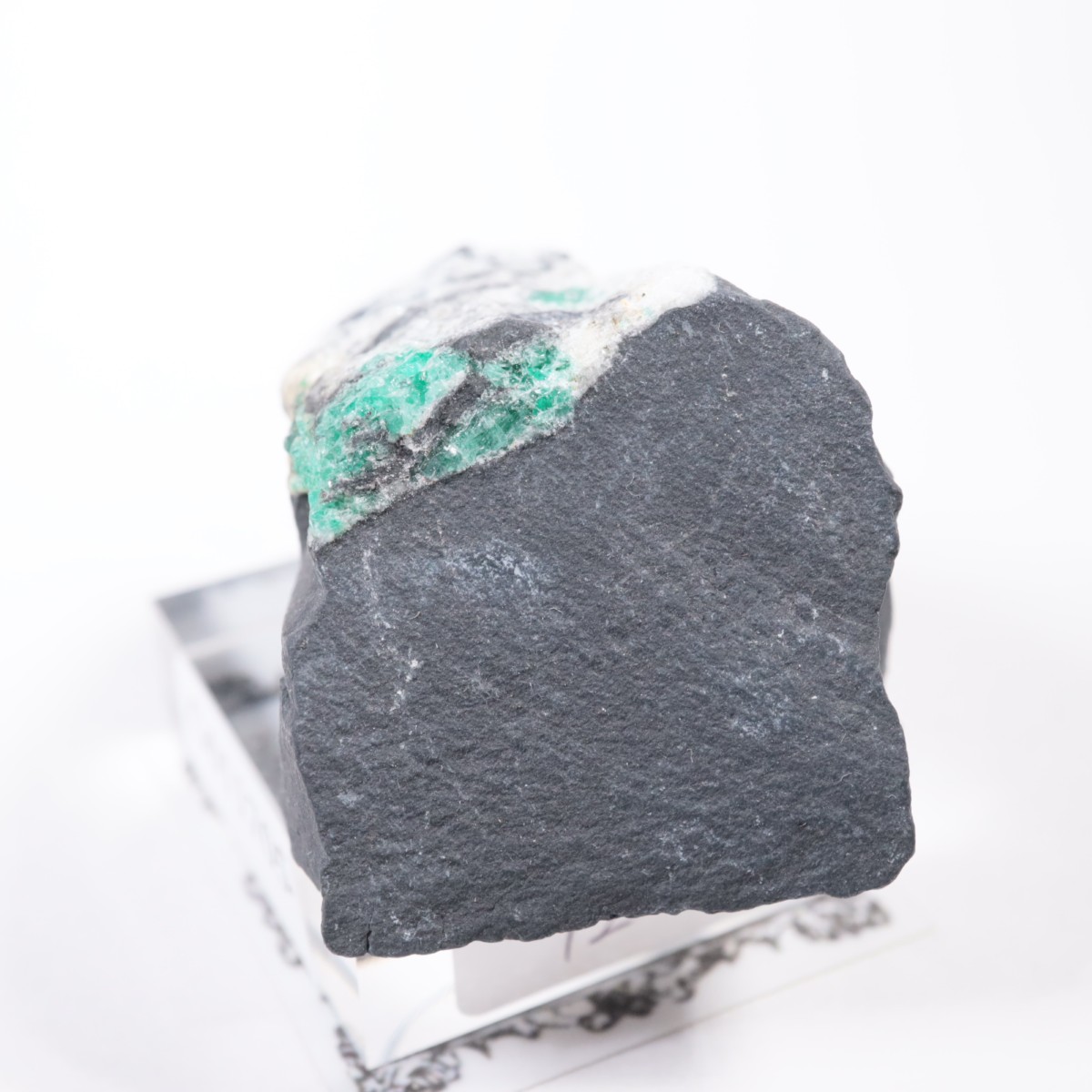 ������ӥ��� �������