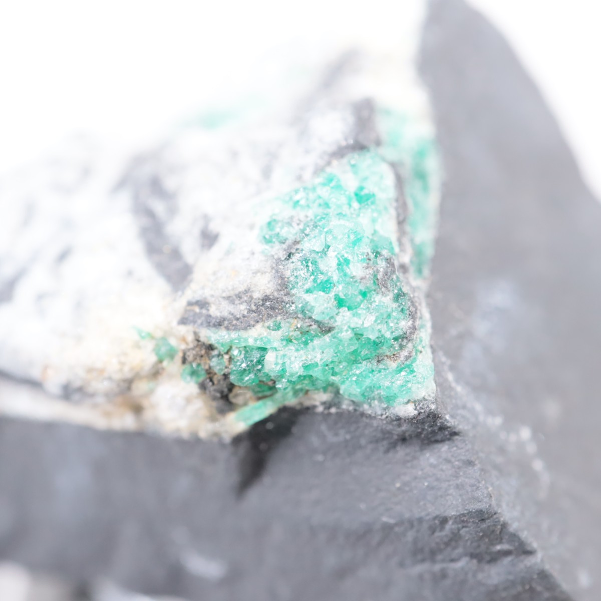 ������ӥ��� �������